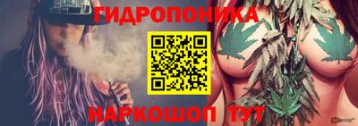 дмт Новозыбков