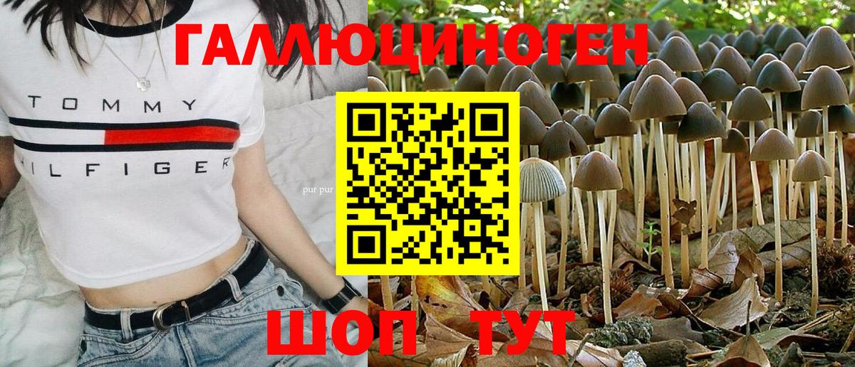 Галлюциногенные грибы Magic Shrooms  Вход с VPN  Псилоцибиновые грибы Cubensis  Удомля 