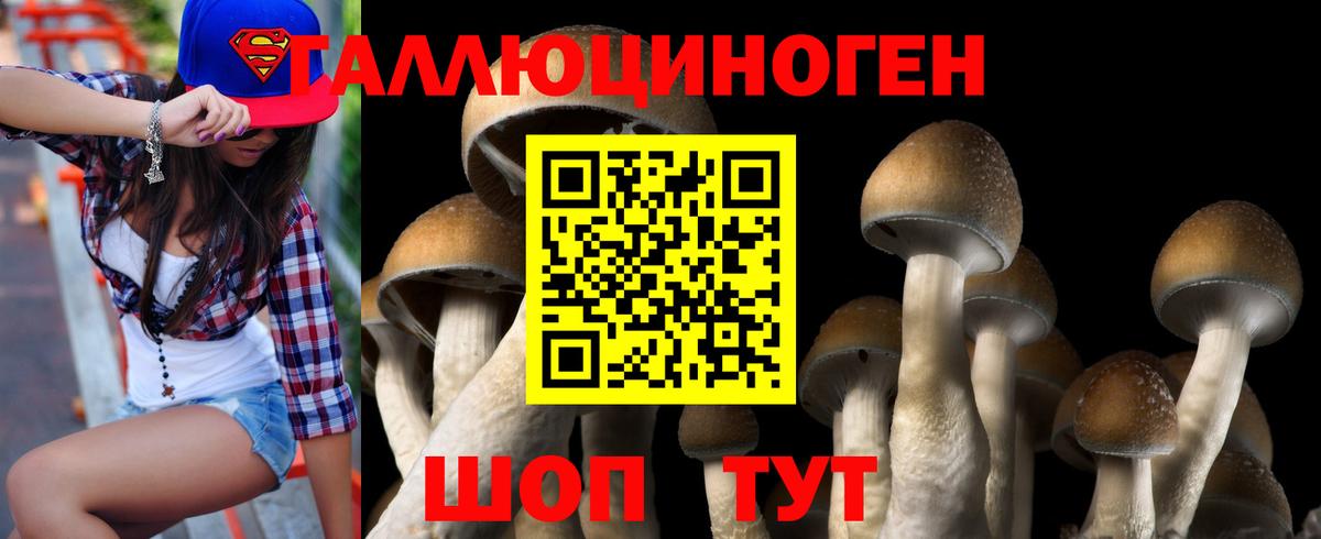Псилоцибиновые грибы Psilocybe Удомля